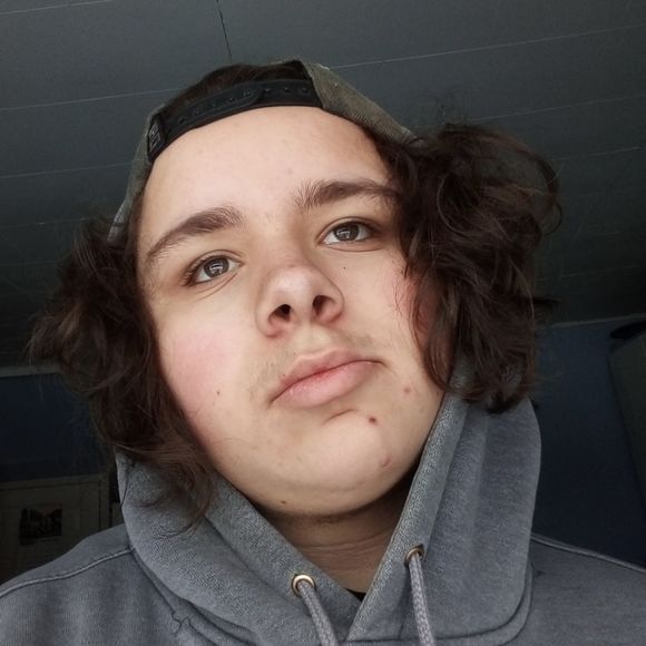 Meet your Posher, Raphael-william - Picture 1 of 1